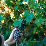 Corte Bonfiglio Colombari