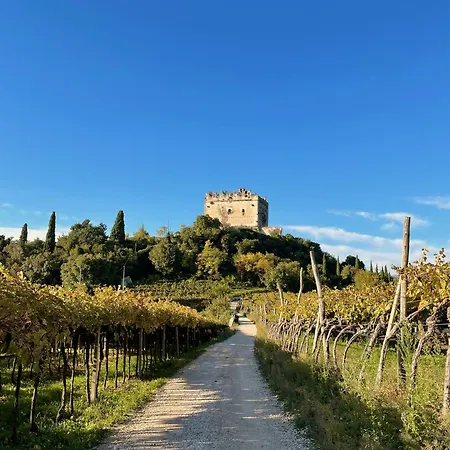 Corte Bonfiglio Colombari Frühstückspension Illasi